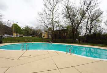 Outdoor pool with cement decking, no furnityre.  2 ladders on right and left.  Trees in back.
